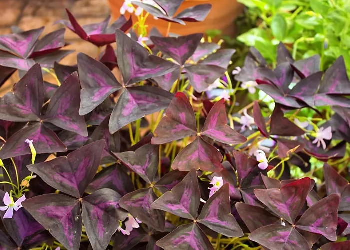 호텔 Valle Del Silencio